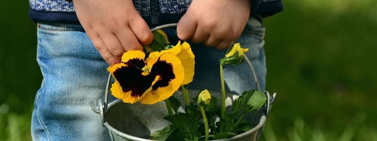 child carrying a pail with pansies