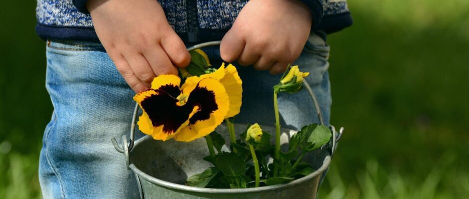 child carrying a pail with pansies